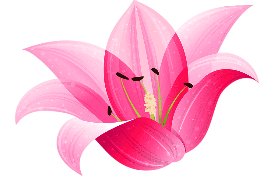 Png clipart lilium flower flower flower lilium transformed